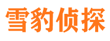 晋宁寻人公司